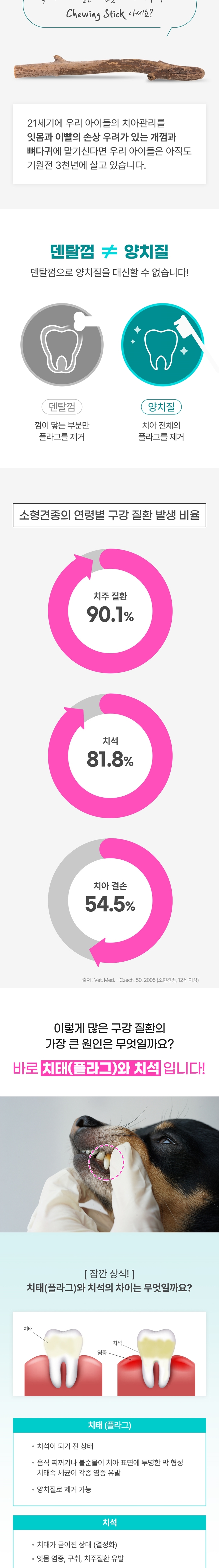 [NEW신상][무료배송] 코코몰리 오랄케어 데일리 칫솔&치약 세트 5번째