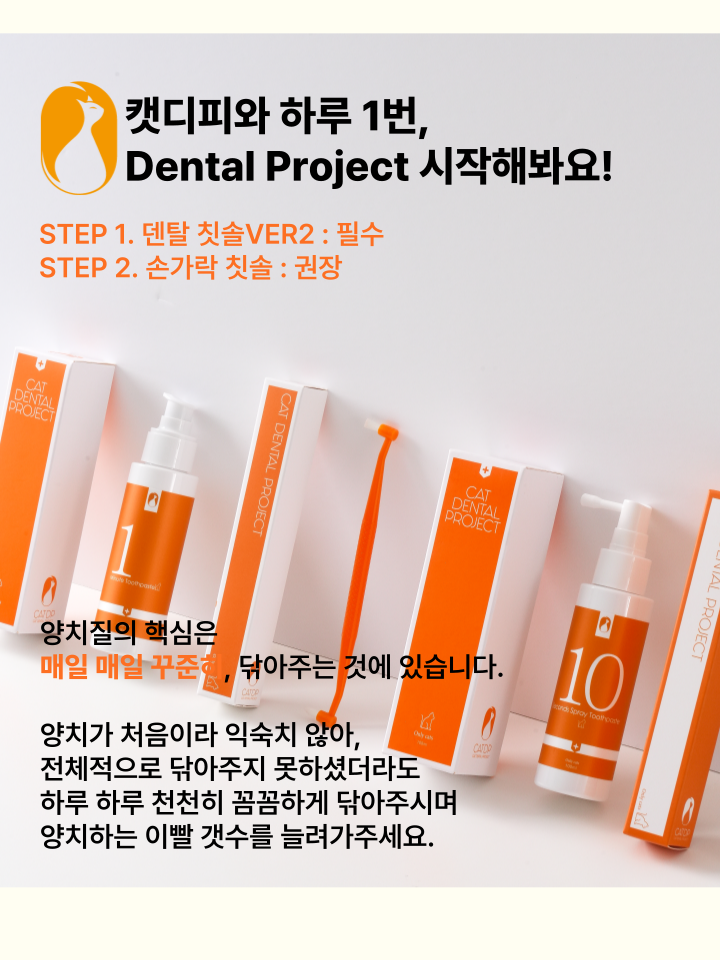 [무료배송] 캣디피 고양이 텐스 치약 덴탈 효소 스프레이형 78번째