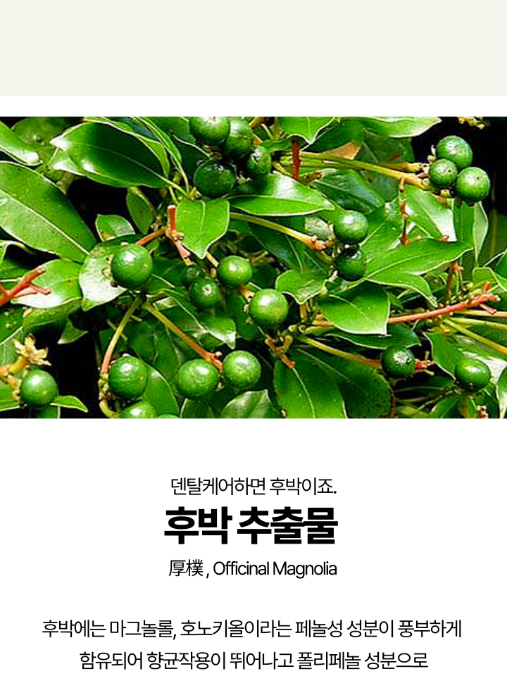 [무료배송] 캣디피 고양이 텐스 치약 덴탈 효소 스프레이형 60번째