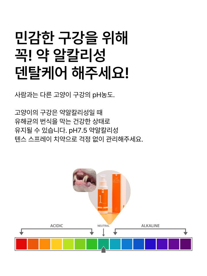 [무료배송] 캣디피 고양이 텐스 치약 덴탈 효소 스프레이형 56번째