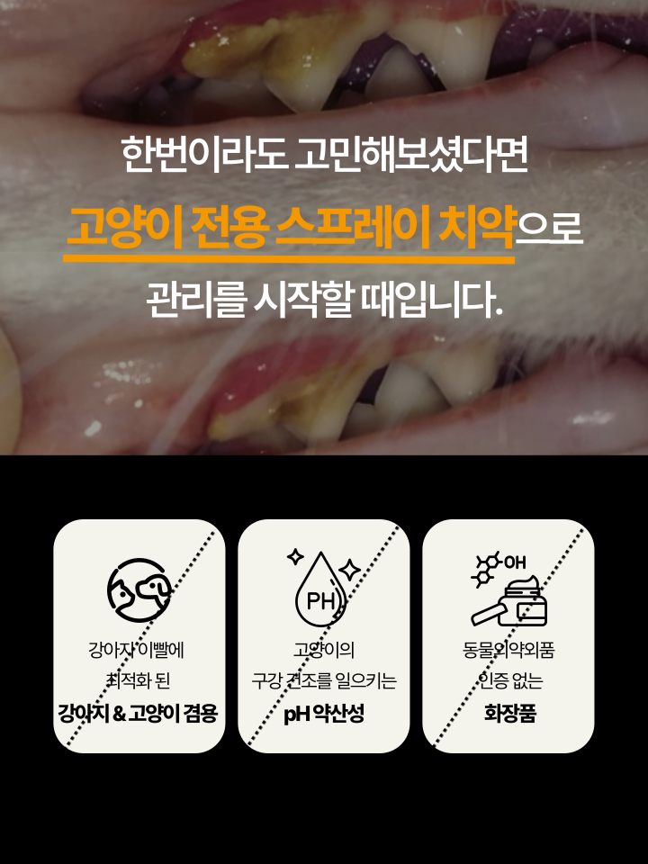 [무료배송] 캣디피 고양이 텐스 치약 덴탈 효소 스프레이형 30번째