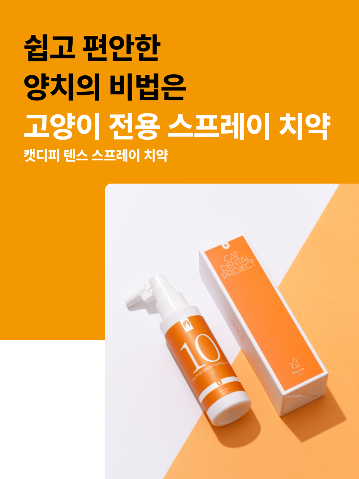 [무료배송] 캣디피 고양이 텐스 치약 덴탈 효소 스프레이형 8번째