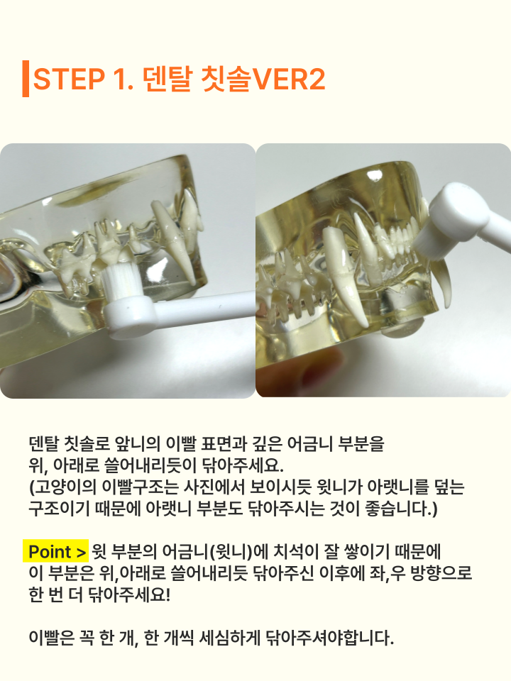 [무료배송] 캣디피 고양이 텐스 치약 덴탈 효소 스프레이형 76번째