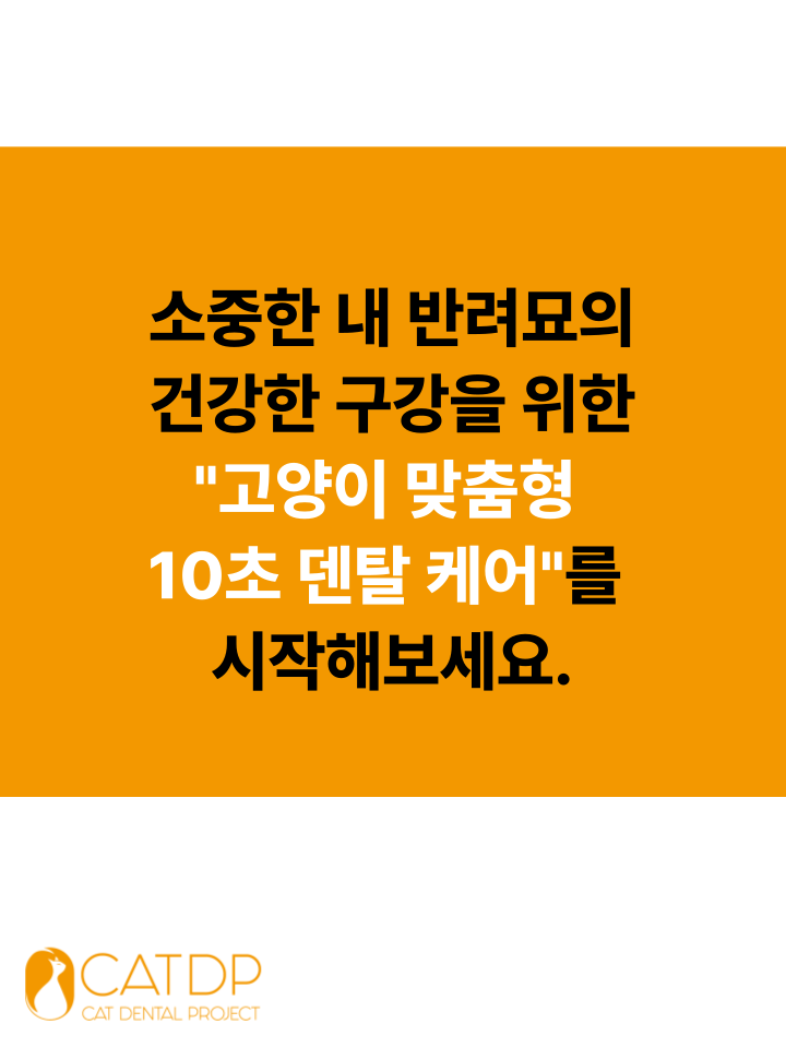 [무료배송] 캣디피 고양이 텐스 치약 덴탈 효소 스프레이형 9번째
