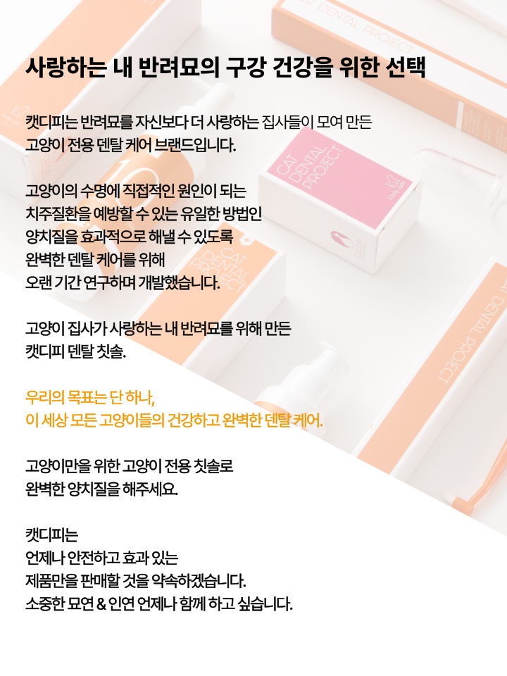 [무료배송] 캣디피 고양이 텐스 치약 덴탈 효소 스프레이형 11번째