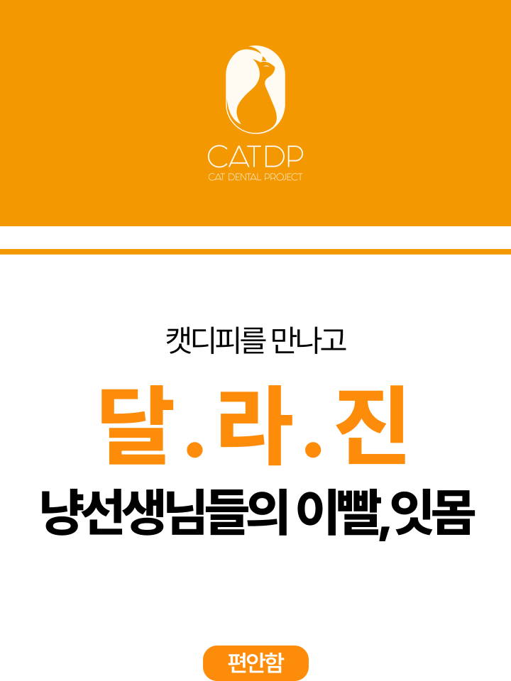 [무료배송] 캣디피 고양이 텐스 치약 덴탈 효소 스프레이형 19번째