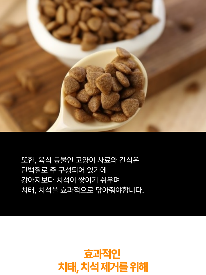 [무료배송] 캣디피 고양이 텐스 치약 덴탈 효소 스프레이형 68번째