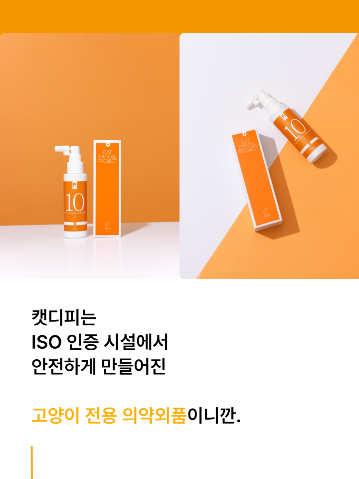 [무료배송] 캣디피 고양이 텐스 치약 덴탈 효소 스프레이형 53번째