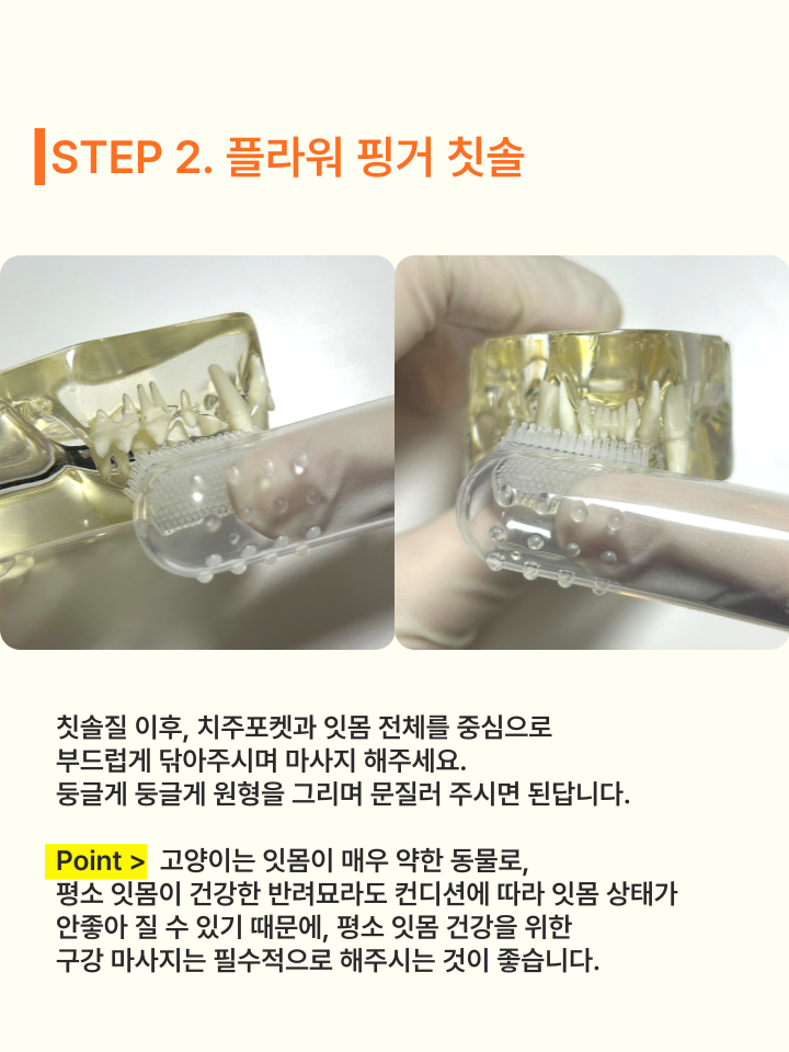 [무료배송] 캣디피 고양이 텐스 치약 덴탈 효소 스프레이형 77번째