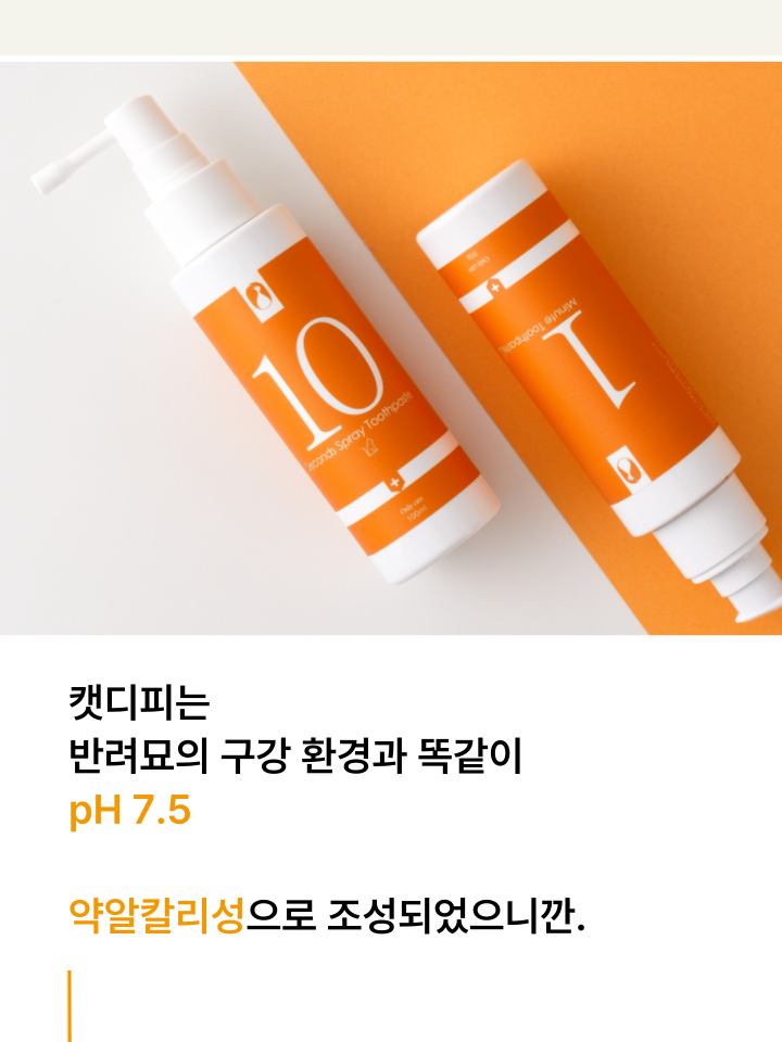 [무료배송] 캣디피 고양이 텐스 치약 덴탈 효소 스프레이형 57번째