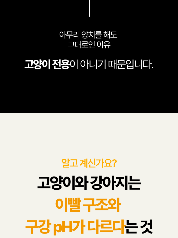 [무료배송] 캣디피 고양이 텐스 치약 덴탈 효소 스프레이형 37번째