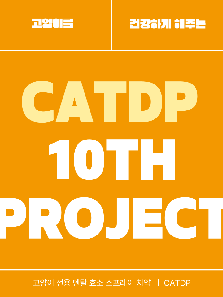 [무료배송] 캣디피 고양이 텐스 치약 덴탈 효소 스프레이형 7번째