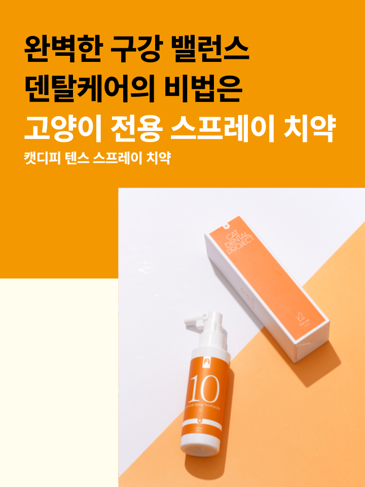 [무료배송] 캣디피 고양이 텐스 치약 덴탈 효소 스프레이형 79번째