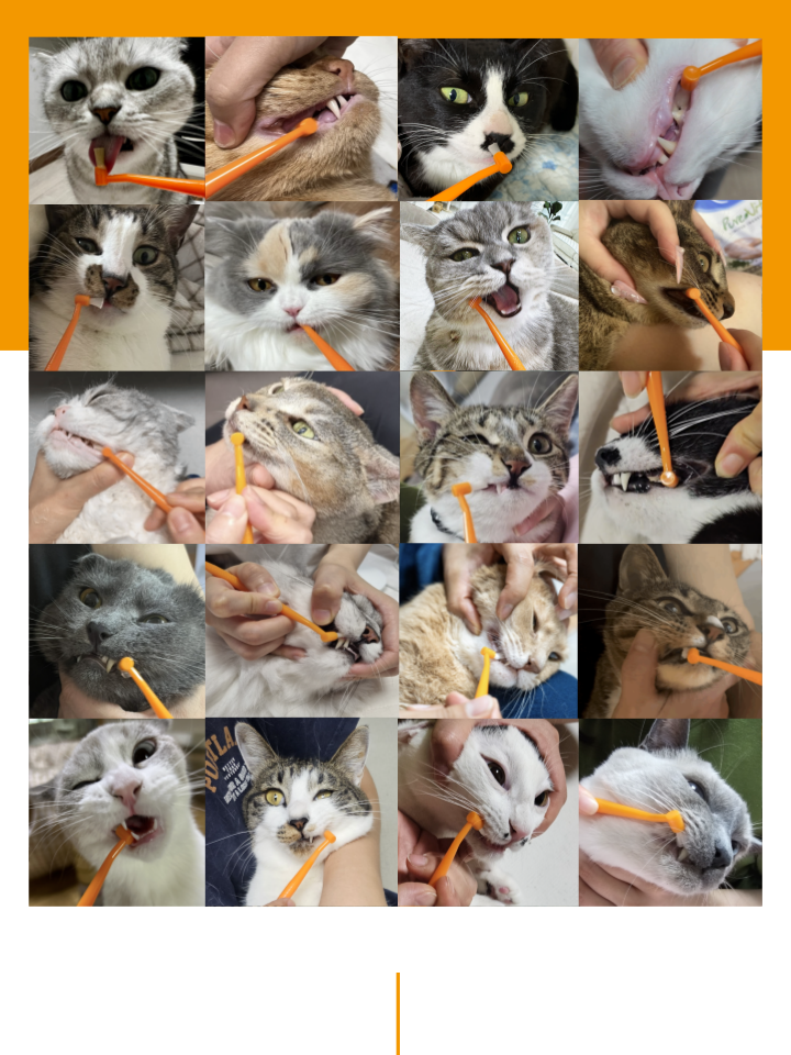 [무료배송] 캣디피 고양이 텐스 치약 덴탈 효소 스프레이형 13번째