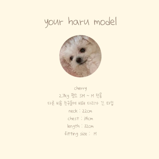 [무료배송] 유어하루 독 하이틴 하네스 옐로우 S-XL 11번째