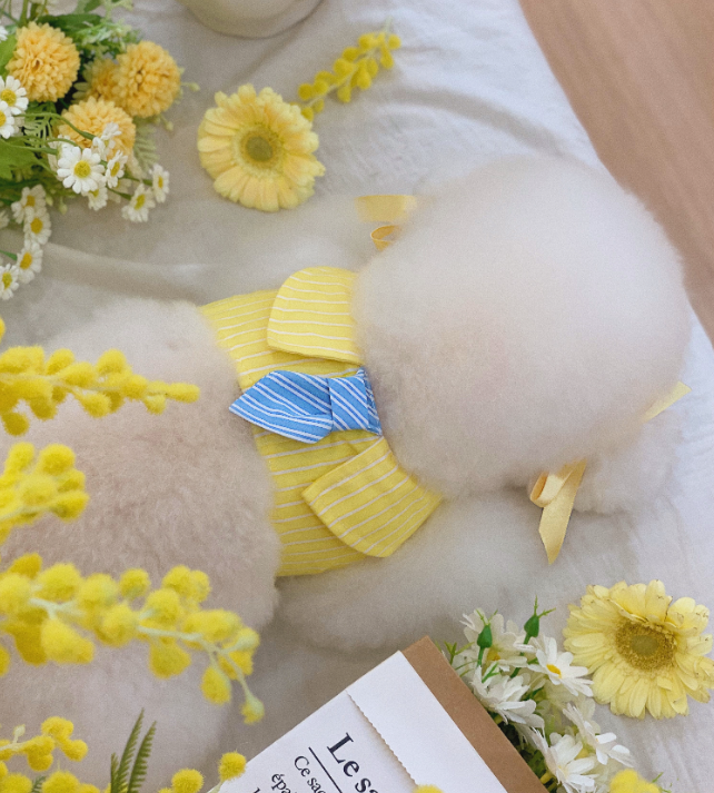 [무료배송] 유어하루 독 하이틴 하네스 옐로우 S-XL 7번째