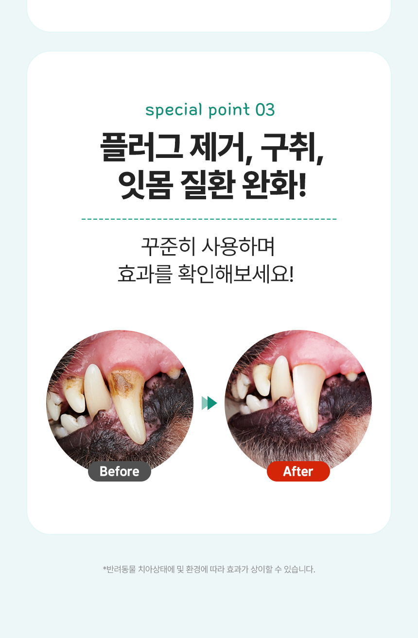 [체험단][무료배송]  코코다움 독 구강케어 치카포카펜 5번째