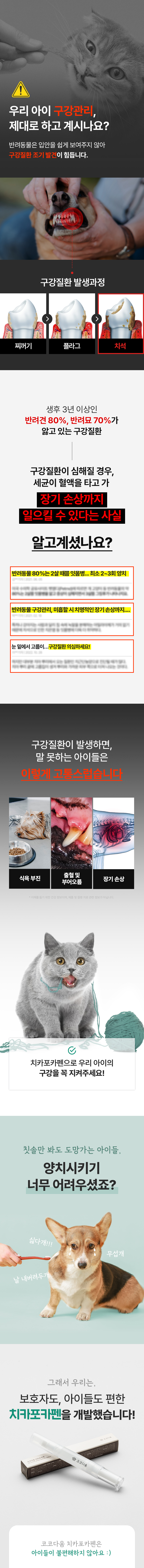 [체험단][무료배송]  코코다움 독 구강케어 치카포카펜 7번째