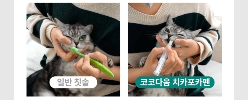 [체험단][무료배송]  코코다움 독 구강케어 치카포카펜 8번째