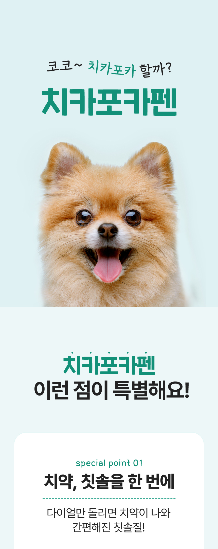 [체험단][무료배송]  코코다움 독 구강케어 치카포카펜 1번째