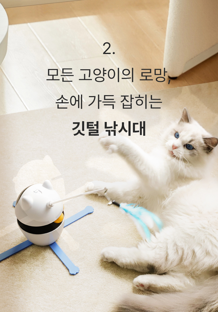 [무료배송] 로제코 3in1 레이저 깃털 자동 사냥 고양이 장난감 16번째