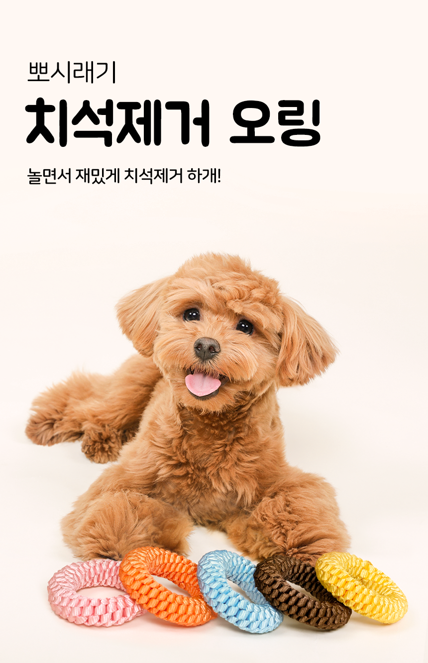 [무료배송] 뽀시래기 독 치석제거 오링 5color S/M 1번째