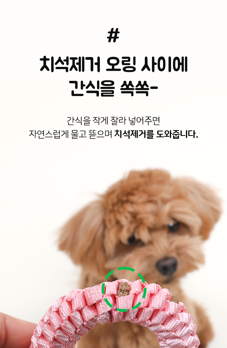 [무료배송] 뽀시래기 독 치석제거 오링 5color S/M 9번째