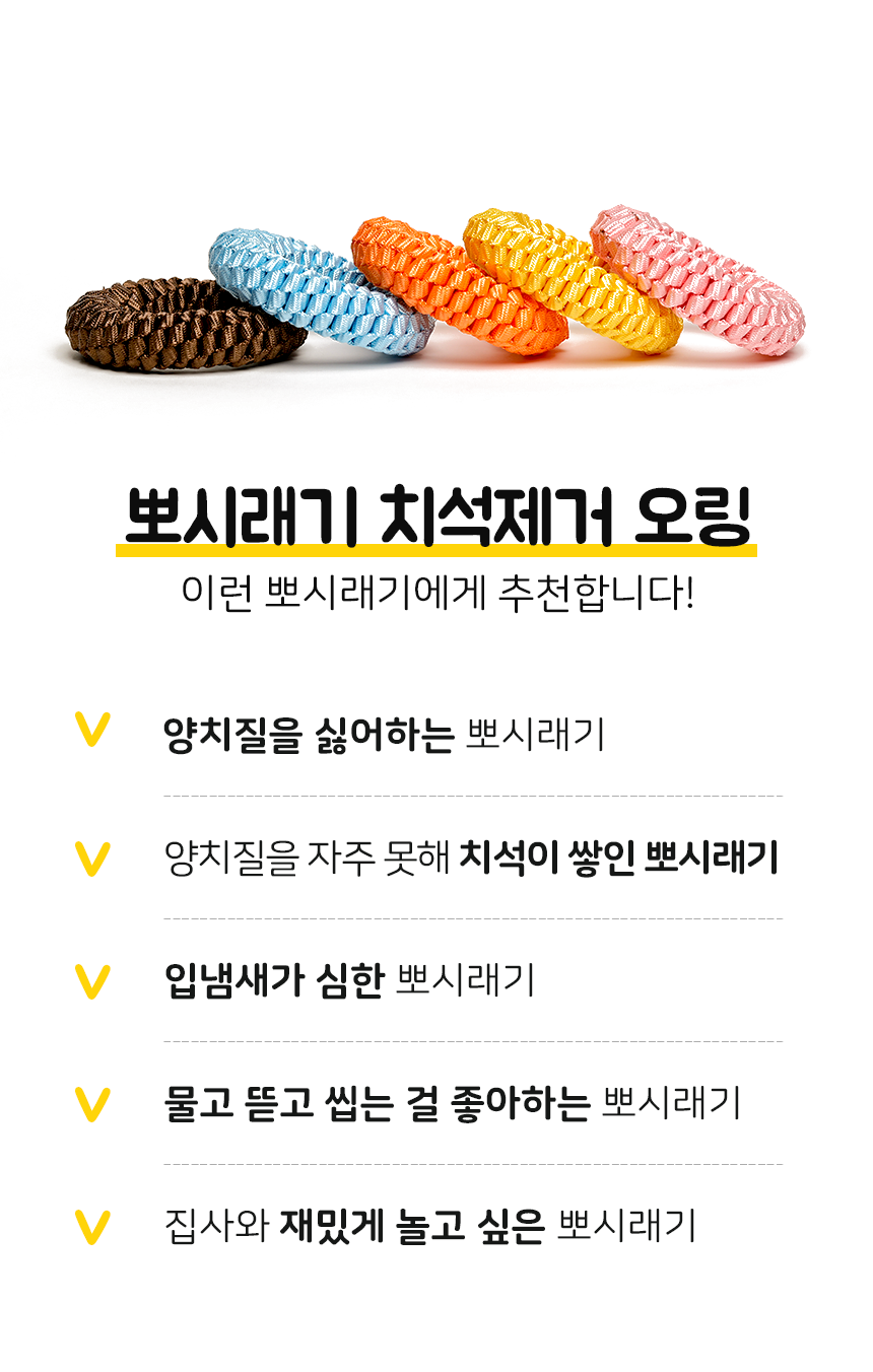 [무료배송] 뽀시래기 독 치석제거 오링 5color S/M 4번째