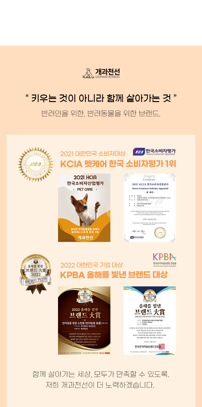 [NEW신상][무료배송] 개과천선 D에루 방석 (브라운/그레이) 2번째