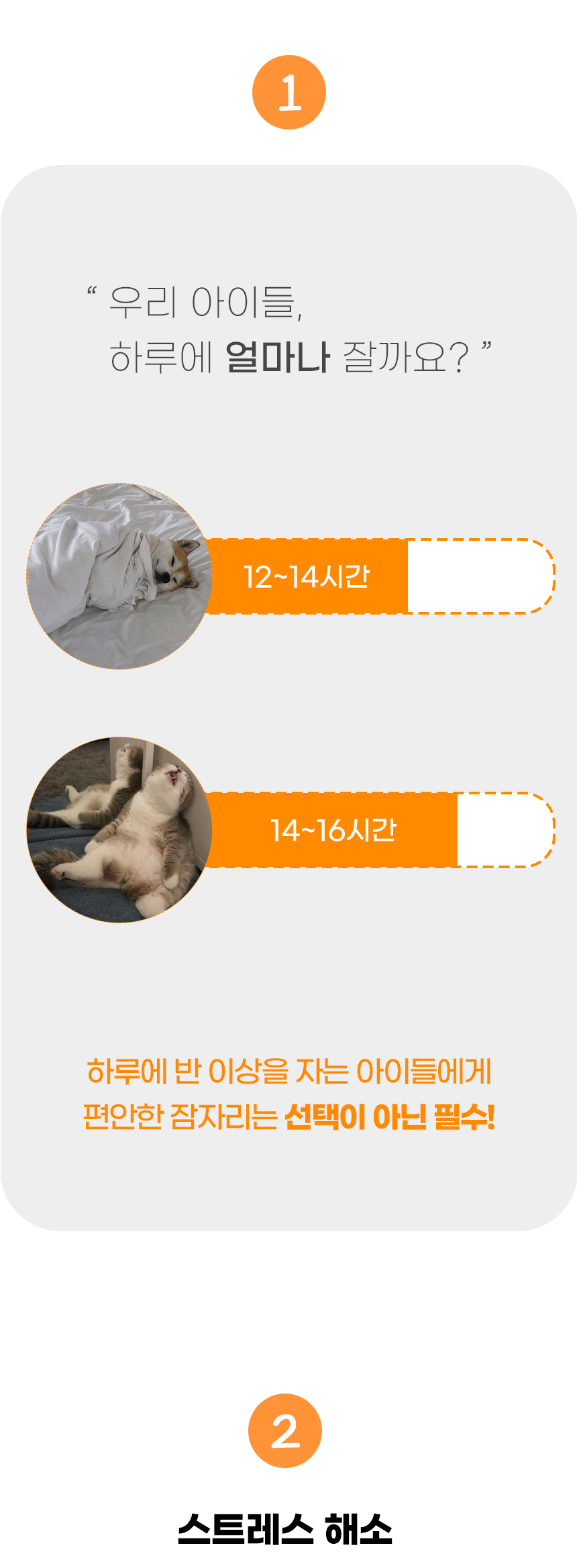 [NEW신상][무료배송] 개과천선 D에루 방석 (브라운/그레이) 5번째