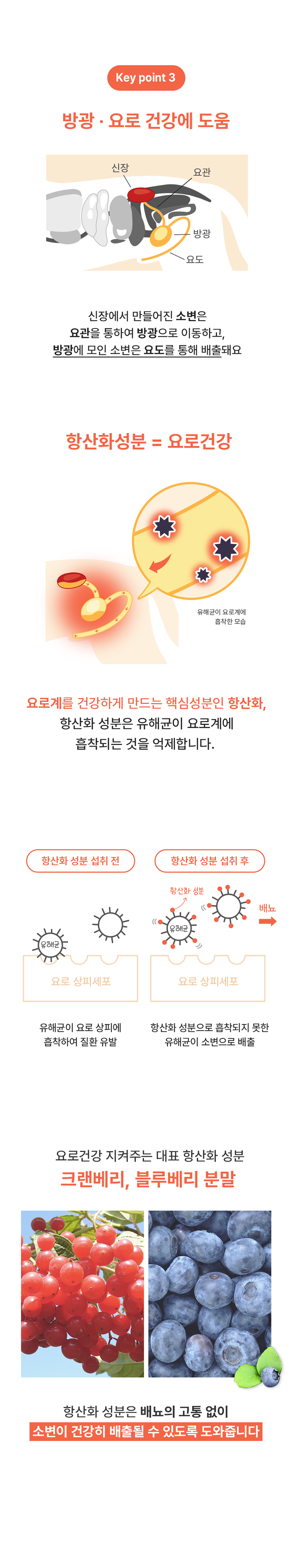 리브펫 신장과 요로계 80g 8번째