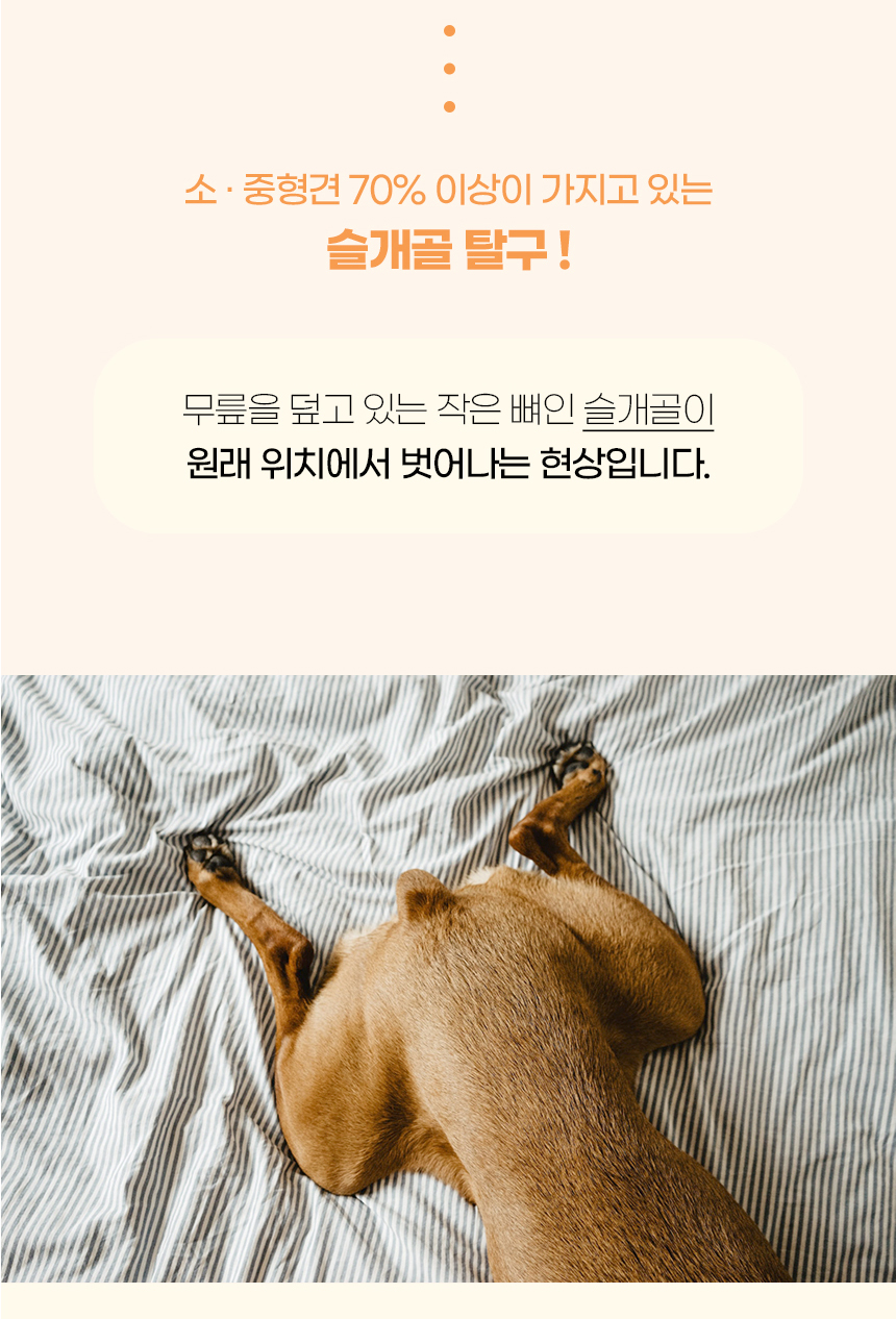 [NEW신상][무료배송] 개과천선 독 헤븐리 펫스텝 계단 (밀크 그레이/밀크 블루) 3번째