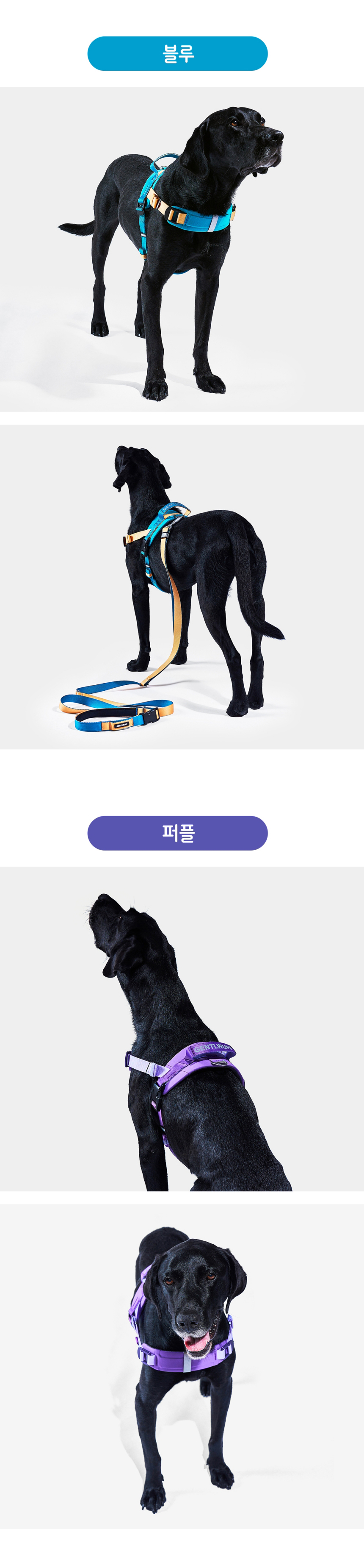 [무료배송] 젠틀우프 업템포 타이탄 하네스 중대형견용 8번째