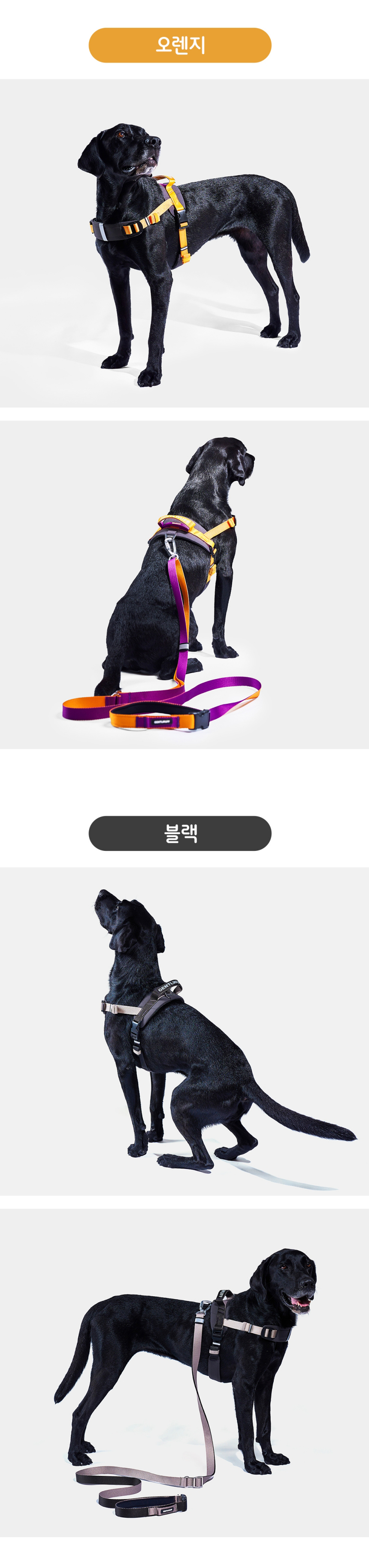 [무료배송] 젠틀우프 업템포 타이탄 하네스 중대형견용 9번째