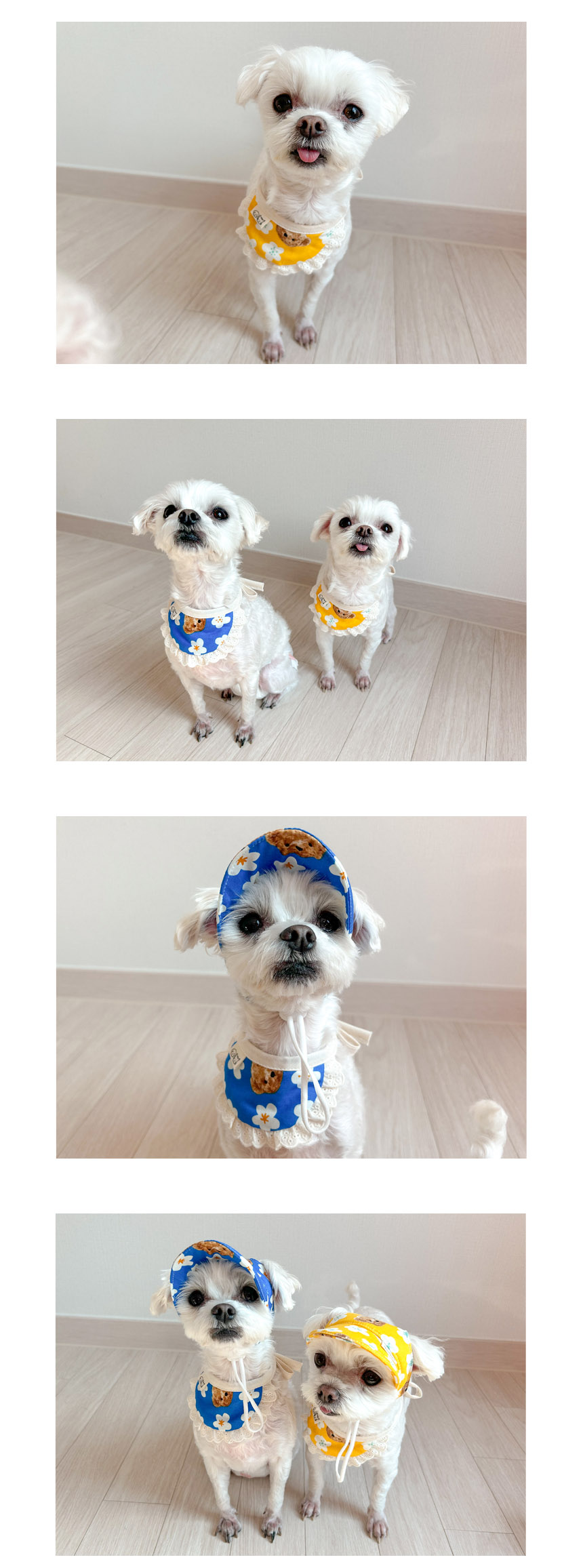 [무료배송] 개달당 독 곰돌이 선캡&턱받이 2종 SET 파랑곰/노랑곰 3번째