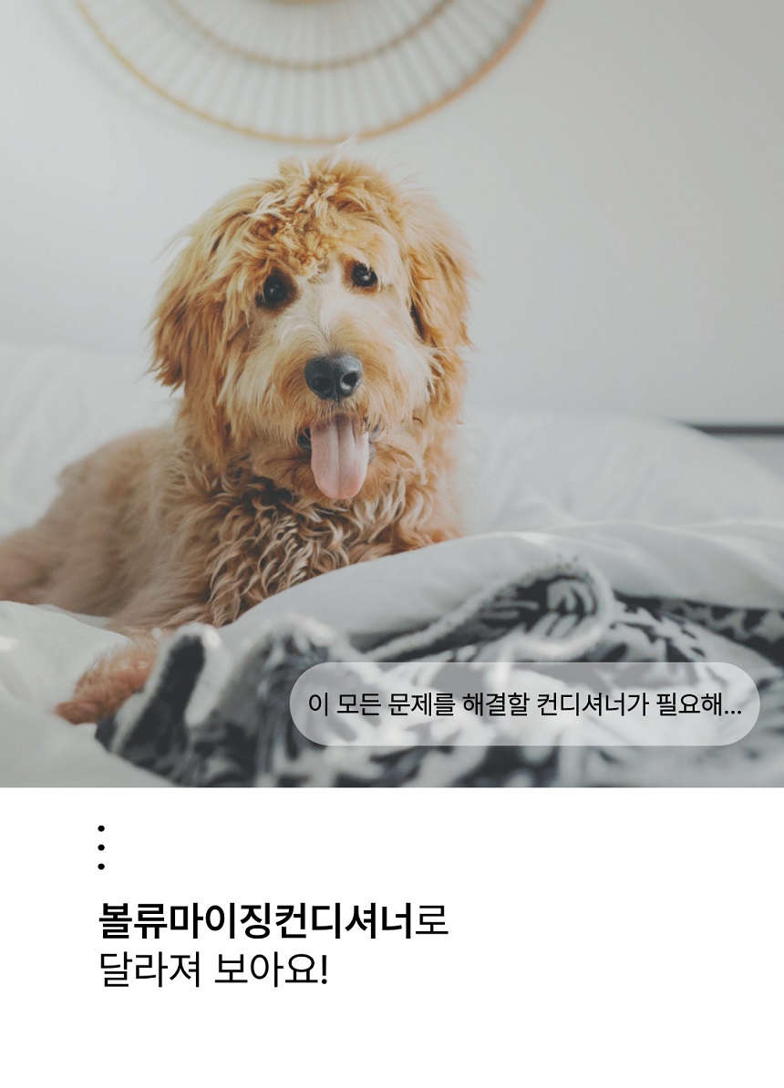 [무료배송] 젠트웰브 볼류마이징 강아지 컨디셔너 300ml 8번째