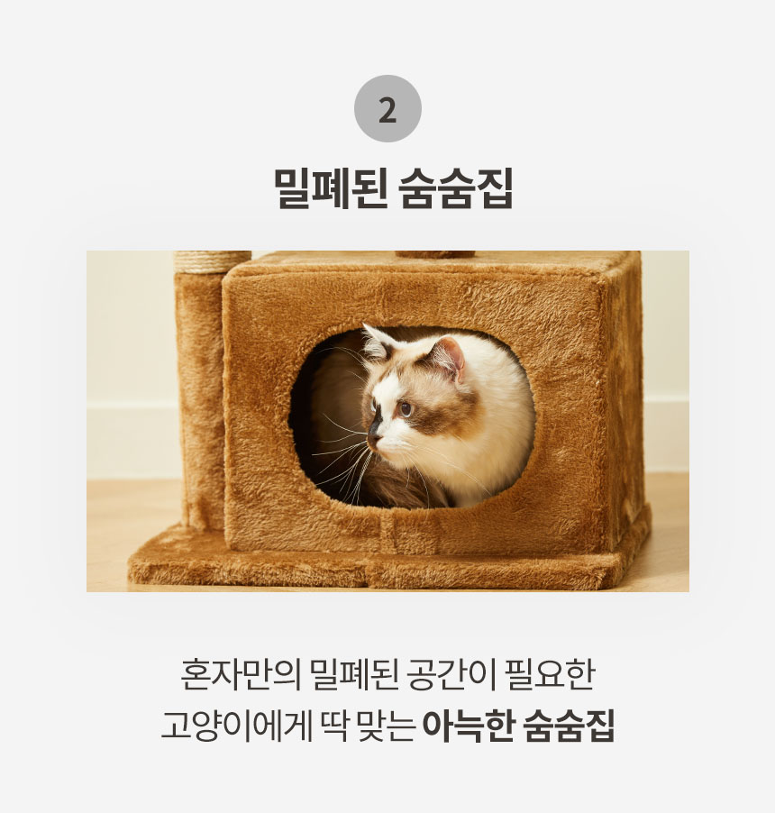 [무료배송] 펫토리아 한층뚝딱 베스트 멀티 콘도 캣타워 브라운 8번째