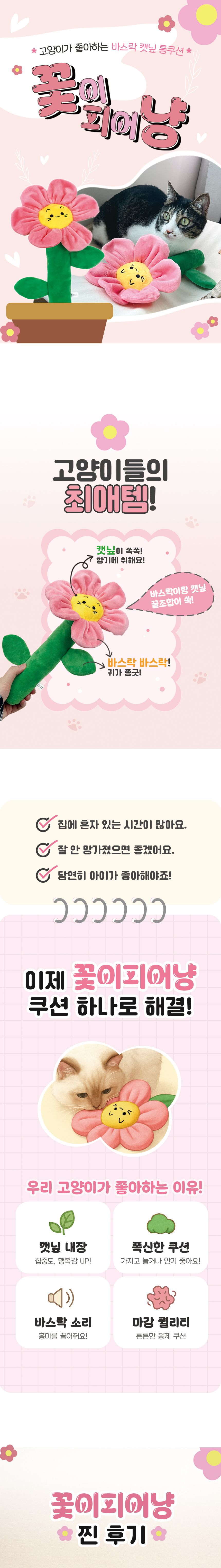 펫모닝 꽃이피어냥 1번째