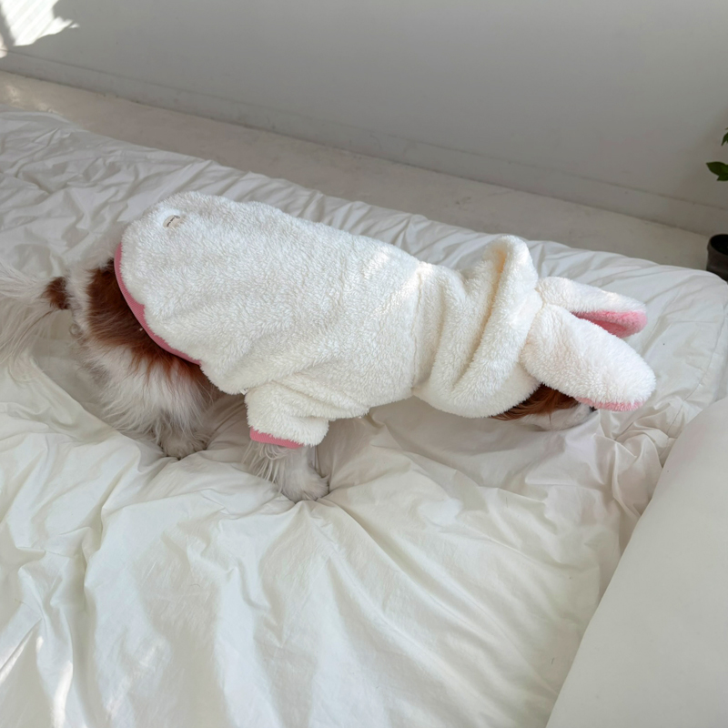 [무료배송] 해피댕댕 동물후리스자켓 S-2XL 6번째