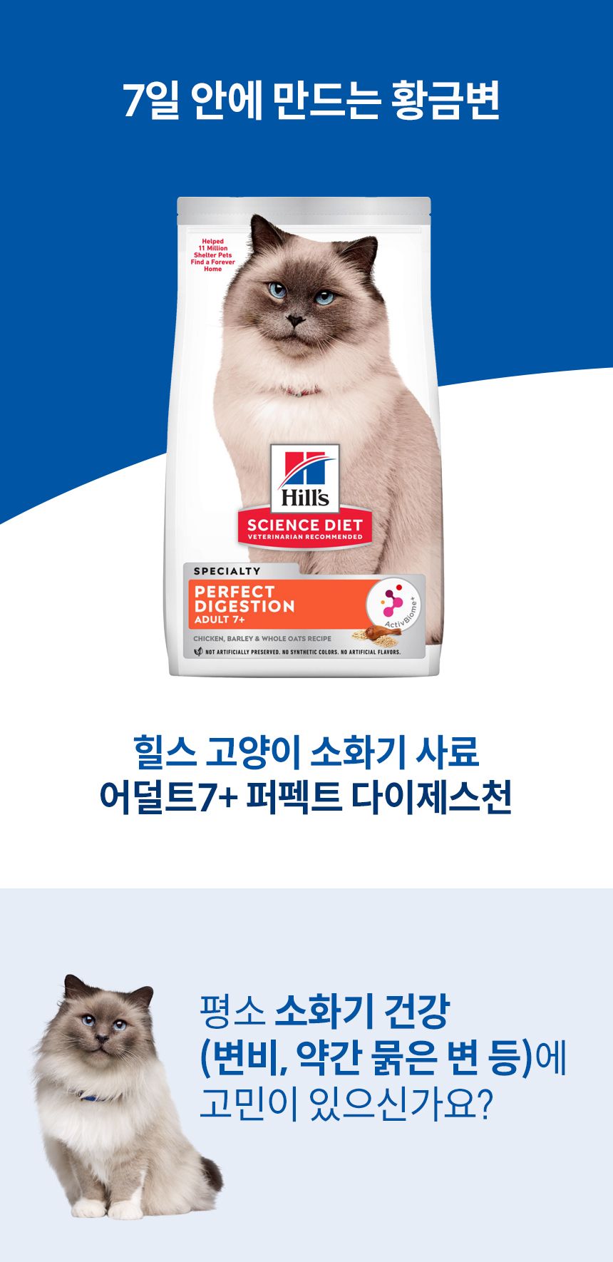 힐스 캣 어덜트 7+ 퍼펙트 다이제스쳔 치킨 1.6kg 1번째