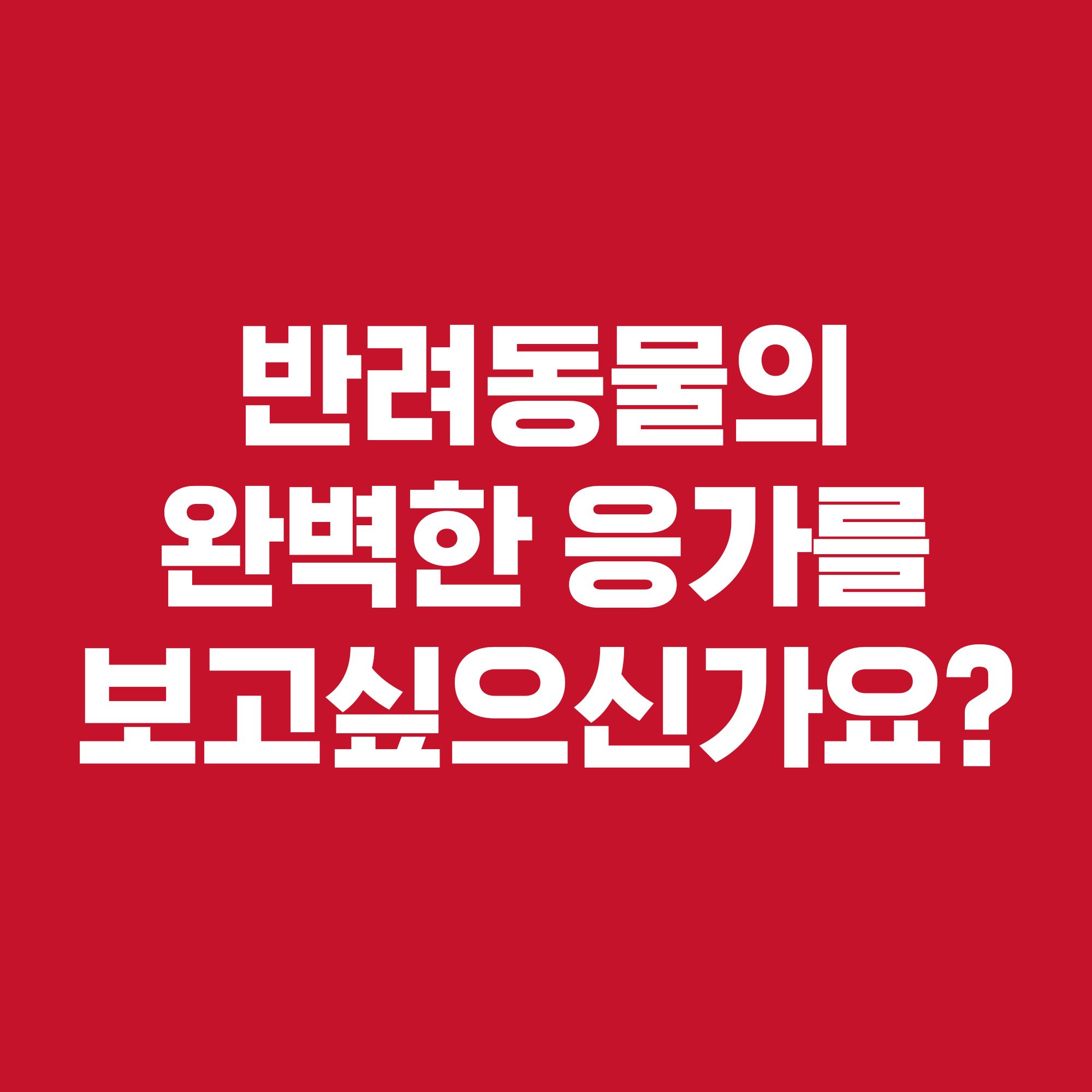 [2+1] 힐스 캣 사이언스 다이어트 퍼펙트 다이제스쳔 치킨 어덜트 7+ 1.6kg 2번째