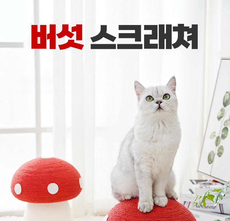 [NEW신상][무료배송] 펫볼루션 버섯캣타워 마끈볼 스탠딩 캣그립 장난감 1번째