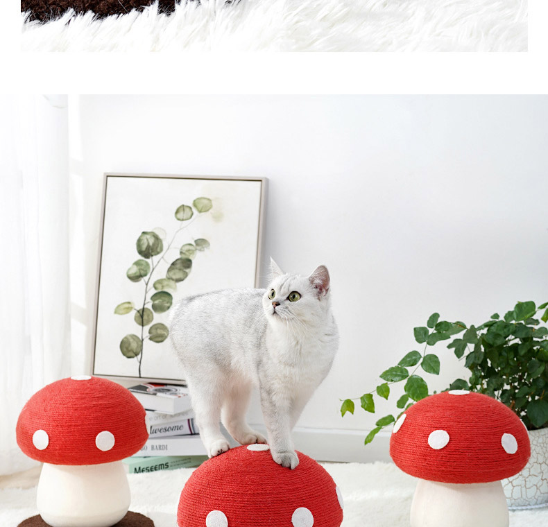 [NEW신상][무료배송] 펫볼루션 버섯캣타워 마끈볼 스탠딩 캣그립 장난감 11번째