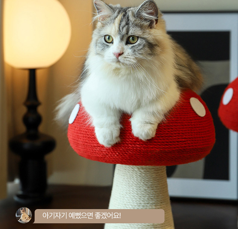 [NEW신상][무료배송] 펫볼루션 버섯캣타워 마끈볼 스탠딩 캣그립 장난감 5번째