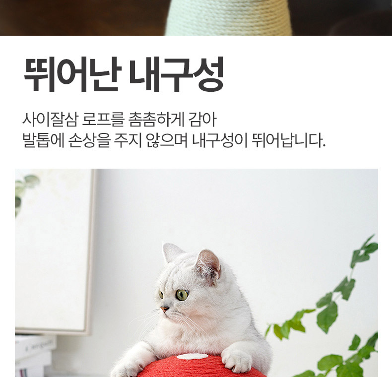 [NEW신상][무료배송] 펫볼루션 버섯캣타워 마끈볼 스탠딩 캣그립 장난감 6번째