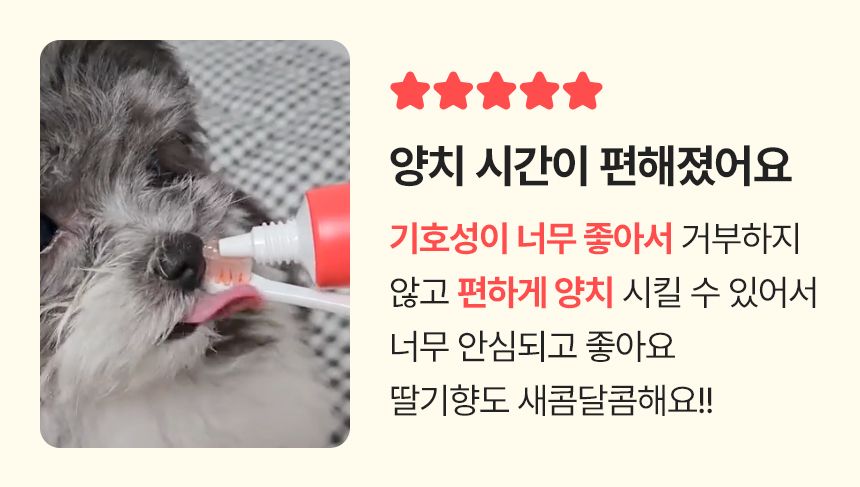 [NEW신상]펫생각 하루치카 덴탈클린 바르는 치약 60g (딸기향) 8번째