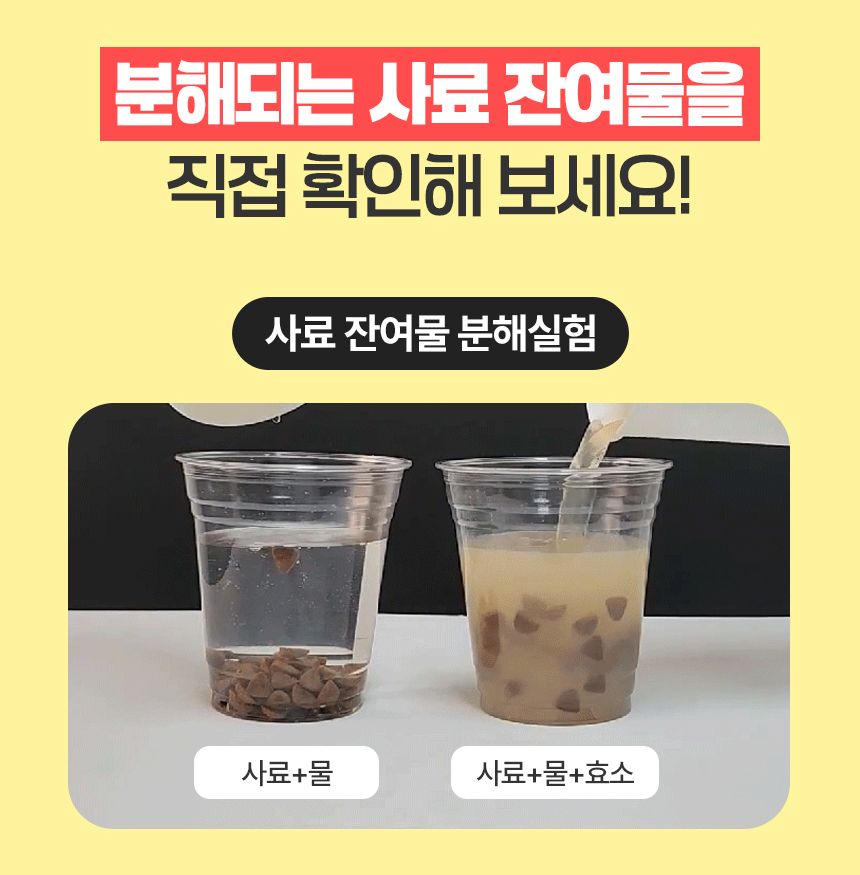 [NEW신상]펫생각 하루치카 덴탈클린 바르는 치약 60g (딸기향) 13번째