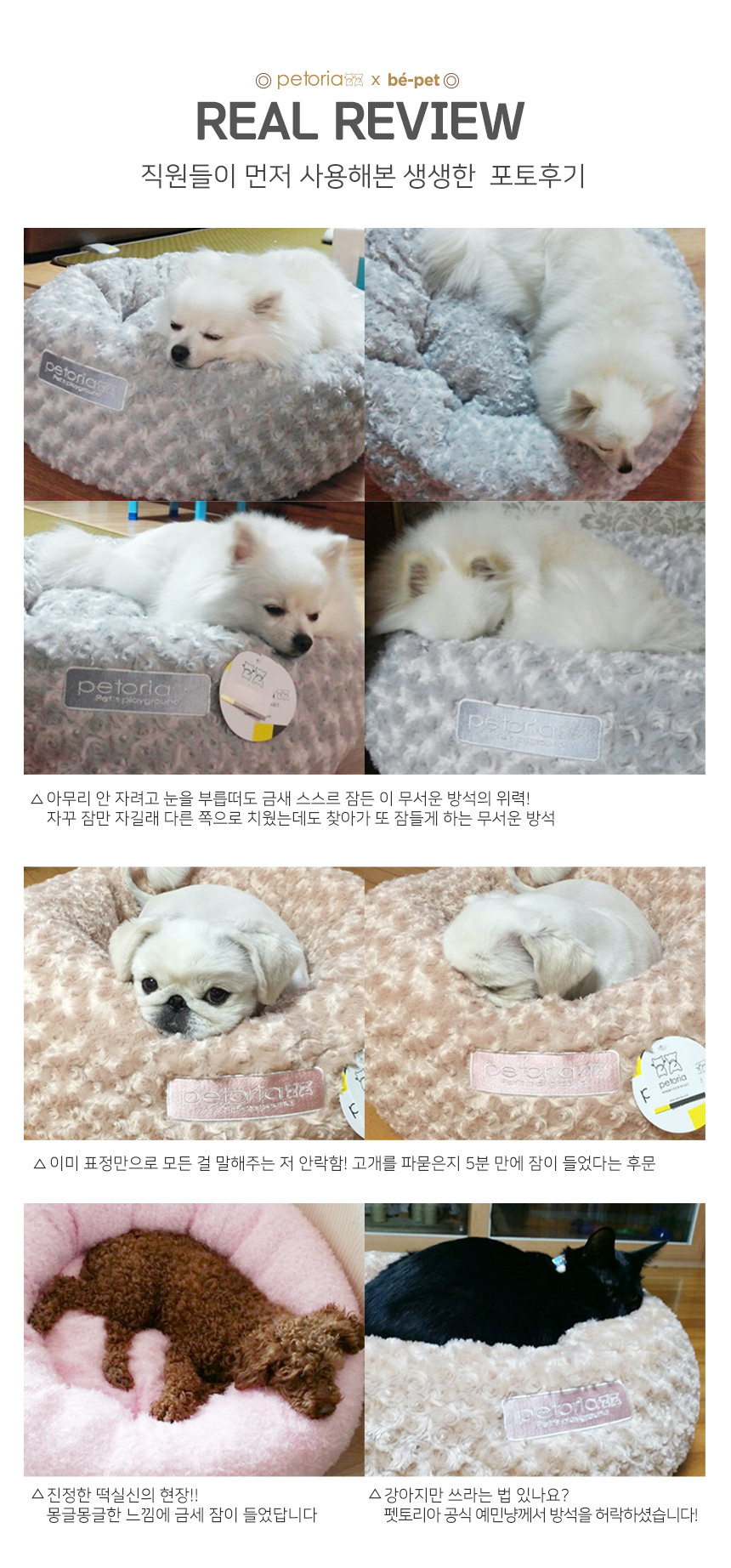 [NEW신상][무료배송] [1+1] 펫토리아 베펫 쿠션 강아지 고양이 방석 2종 10번째