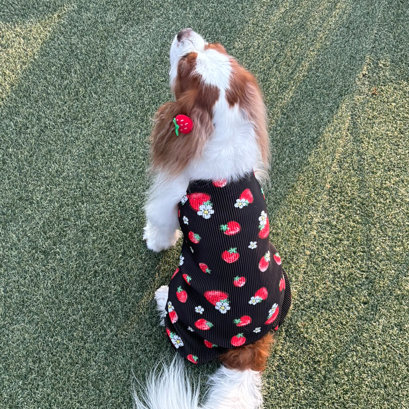 [무료배송] 해피댕댕 딸기올인원 S - 2XL 10번째