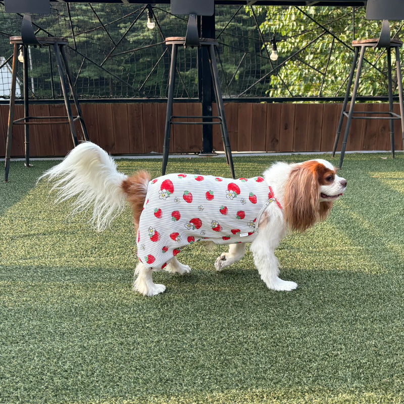 [무료배송] 해피댕댕 딸기올인원 S - 2XL 6번째